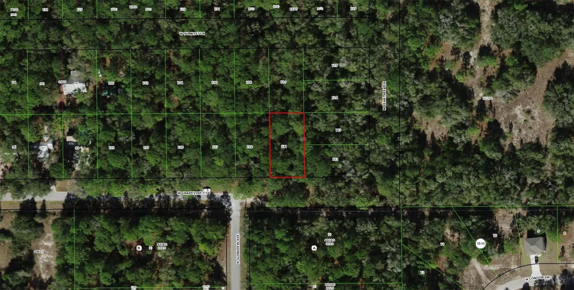 2797 W Grapevine Court Dunnellon FL 34433