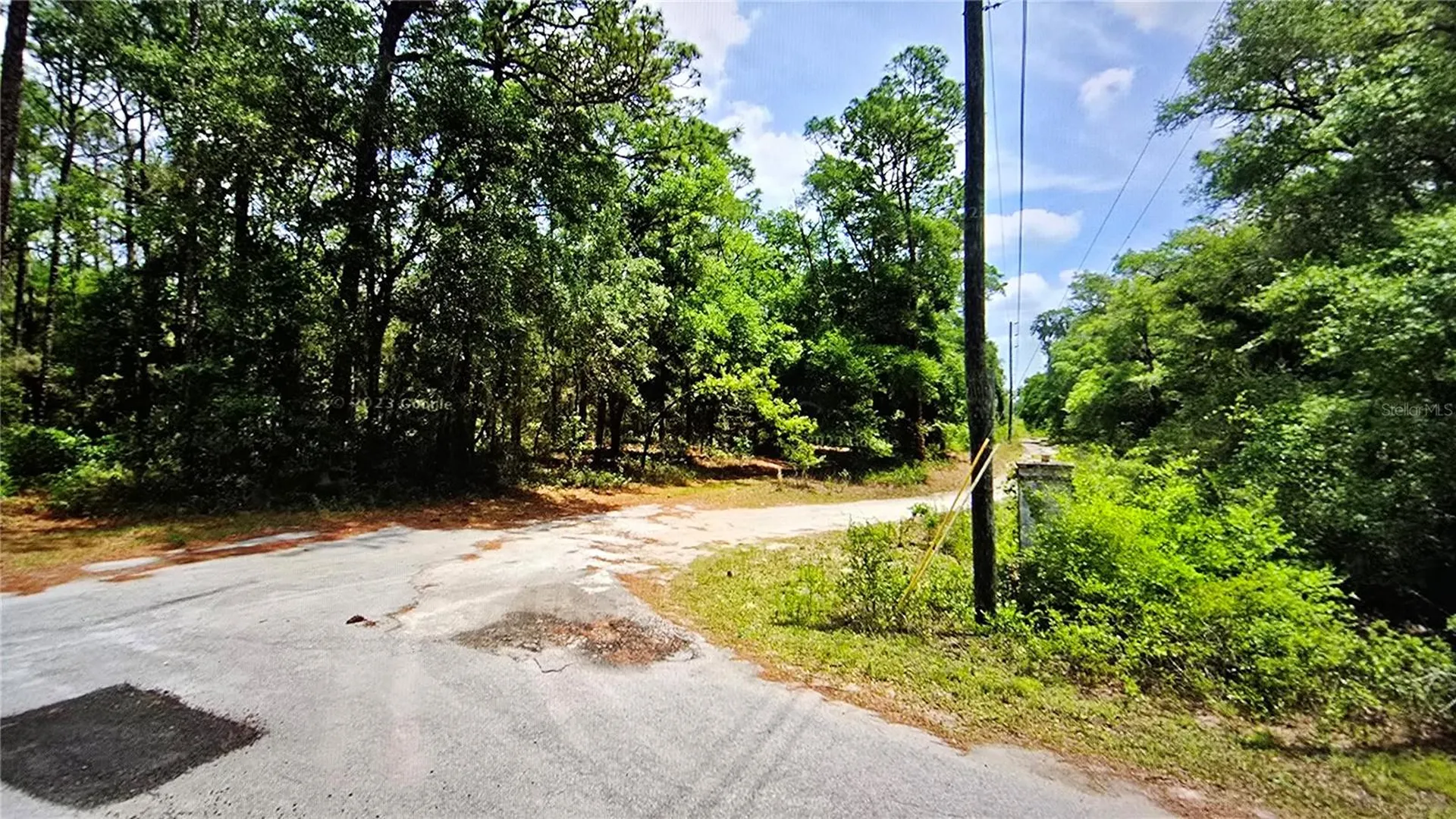2797 W Grapevine Court Dunnellon FL 34433