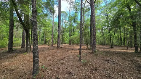2797 W Grapevine Court Dunnellon FL 34433