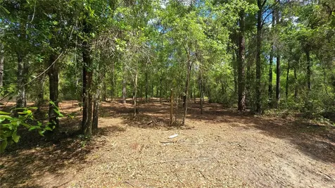 2797 W Grapevine Court Dunnellon FL 34433