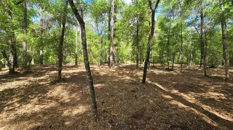 2797 W Grapevine Court Dunnellon FL 34433