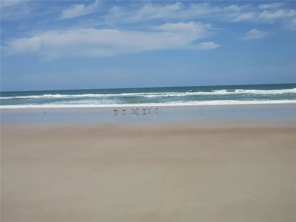 3023 S Atlantic Avenue Daytona Beach FL 32118