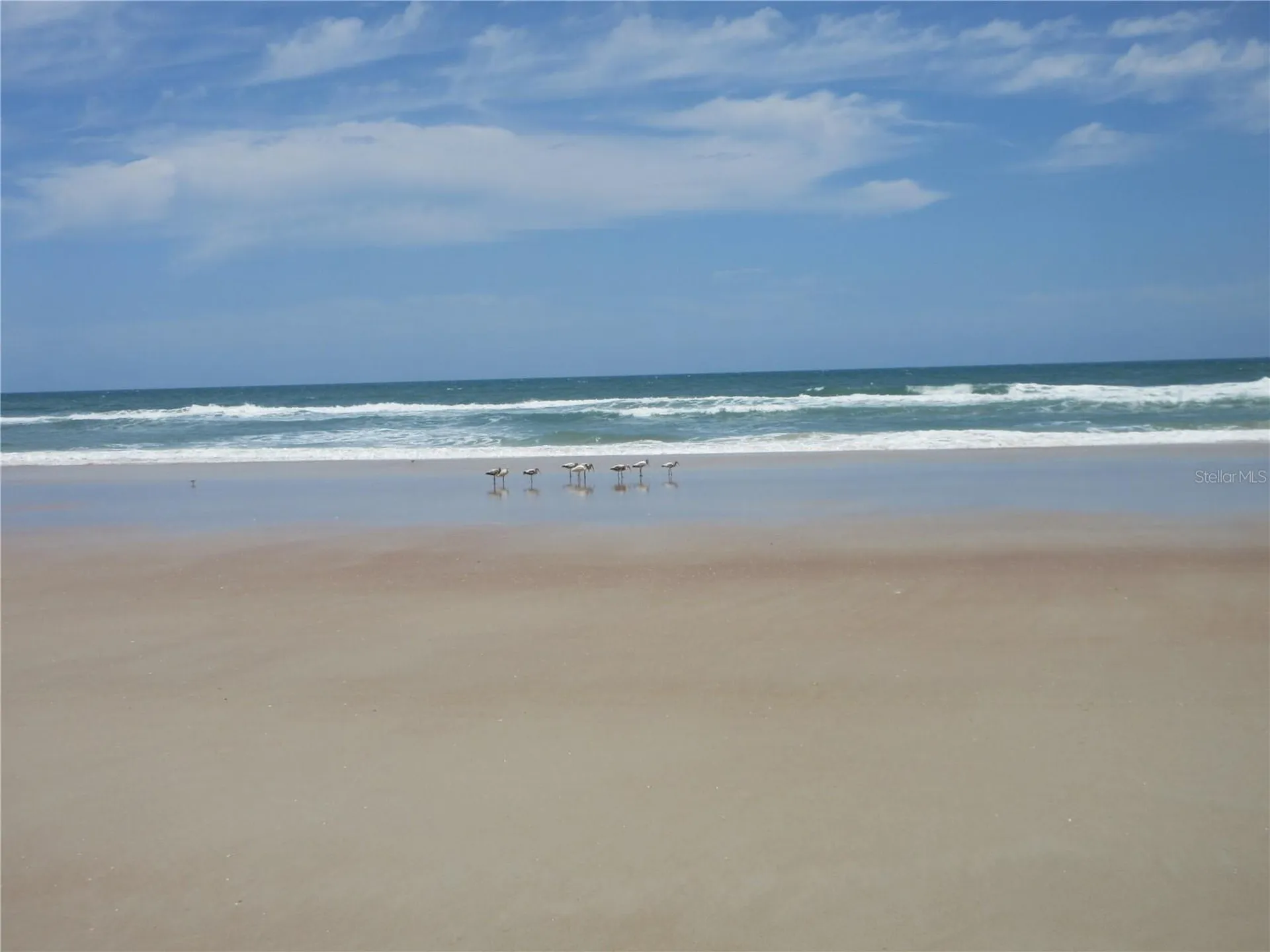 3023 S Atlantic Avenue Daytona Beach FL 32118