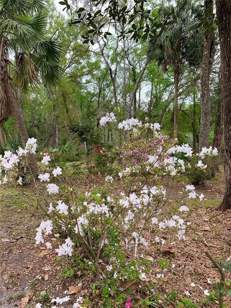11651 NW 127 Lane Chiefland FL 32626