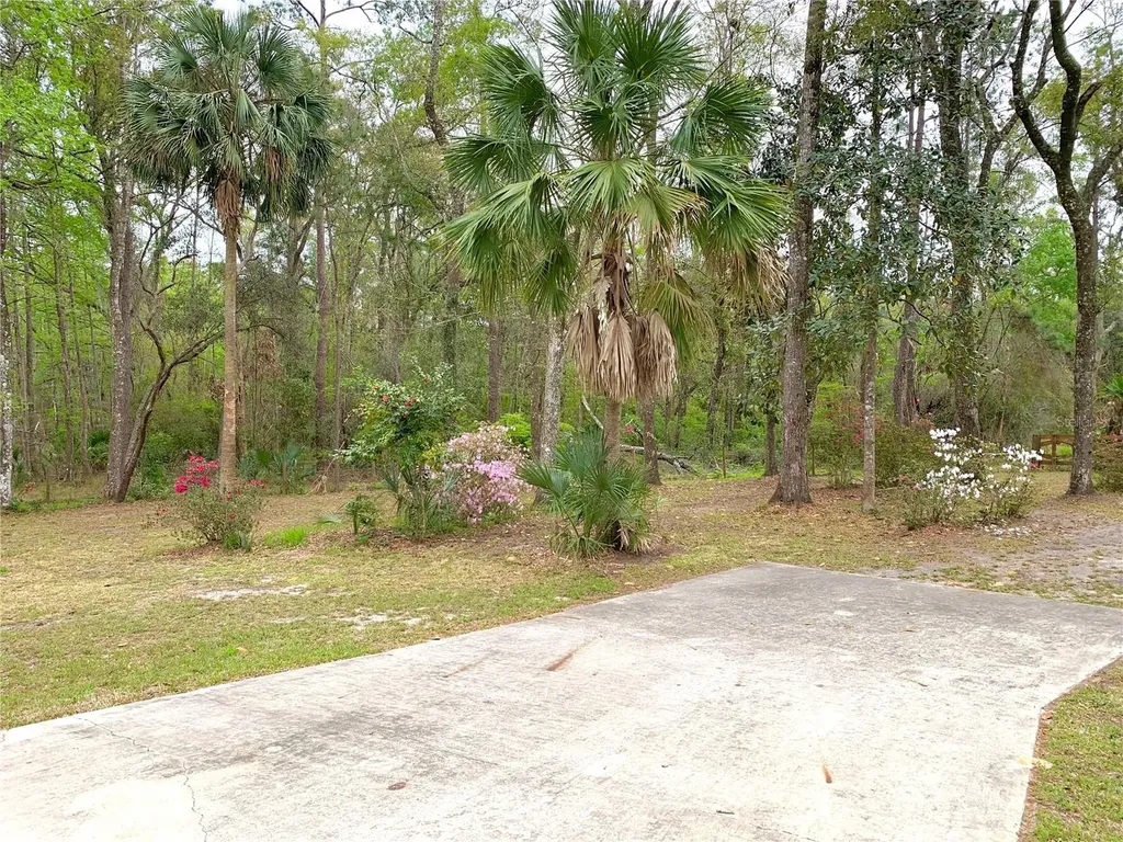 11651 NW 127 Lane Chiefland FL 32626