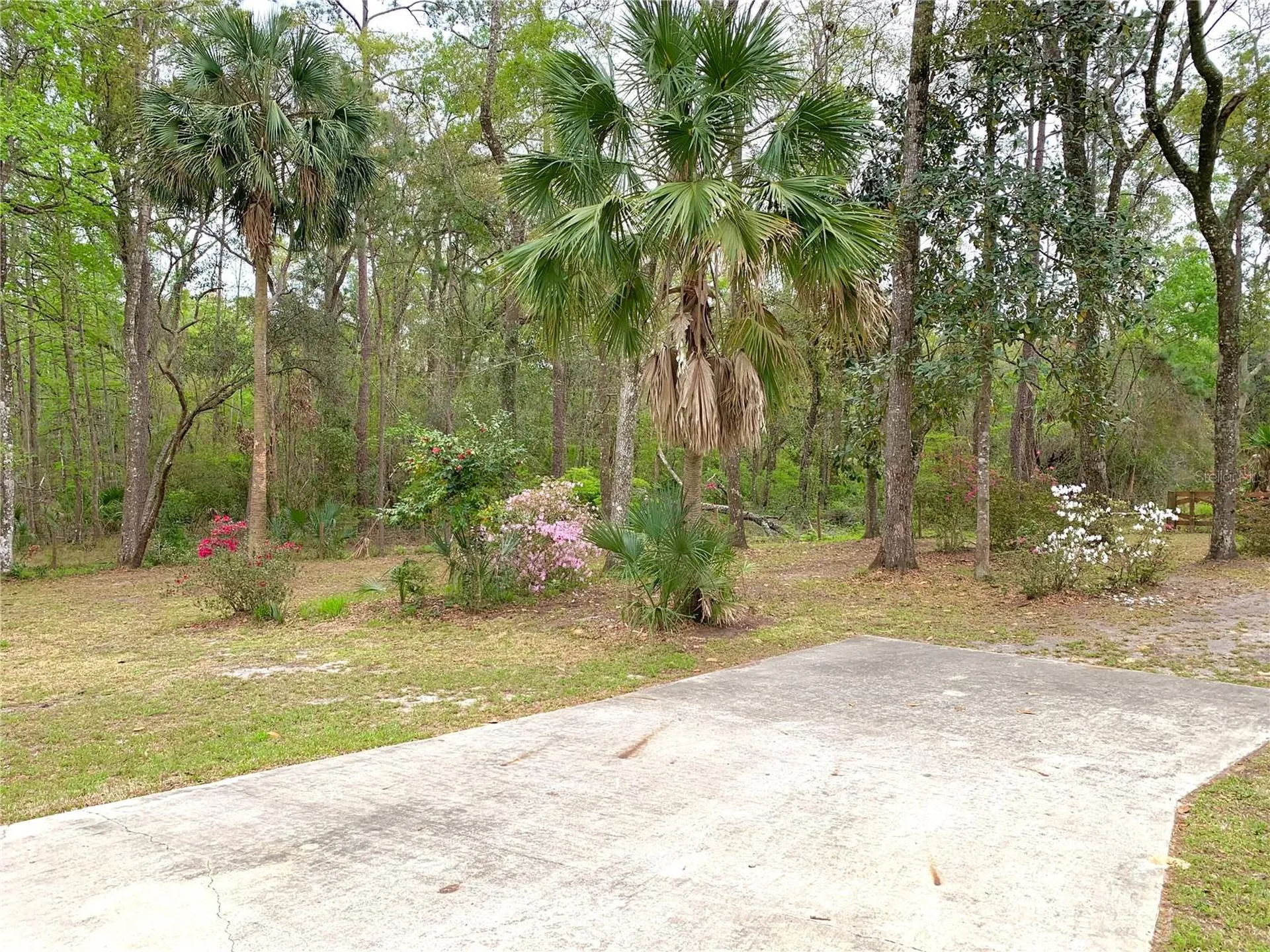 11651 NW 127 Lane Chiefland FL 32626