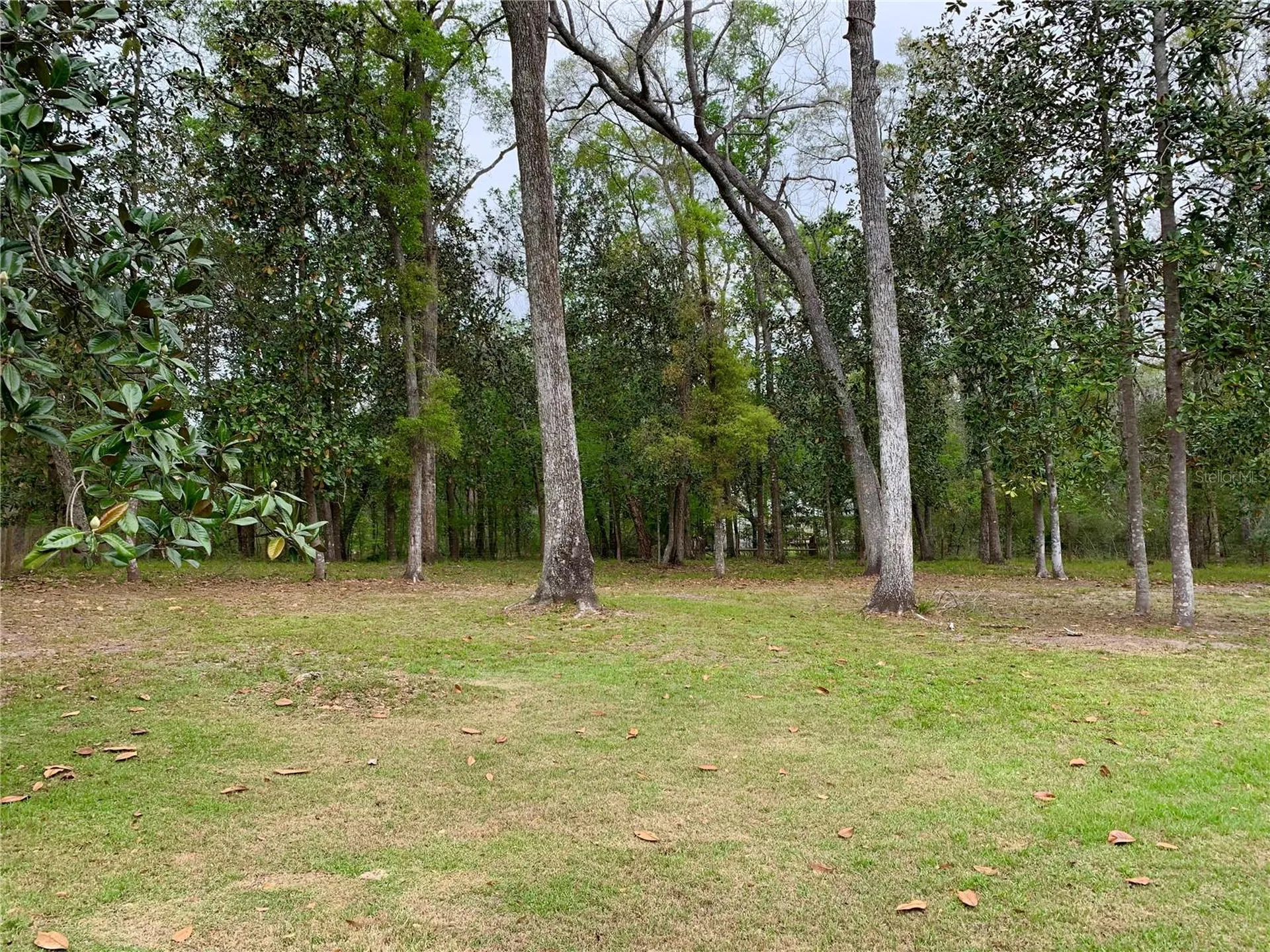 11651 NW 127 Lane Chiefland FL 32626