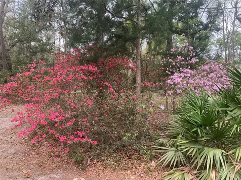 11651 NW 127 Lane Chiefland FL 32626