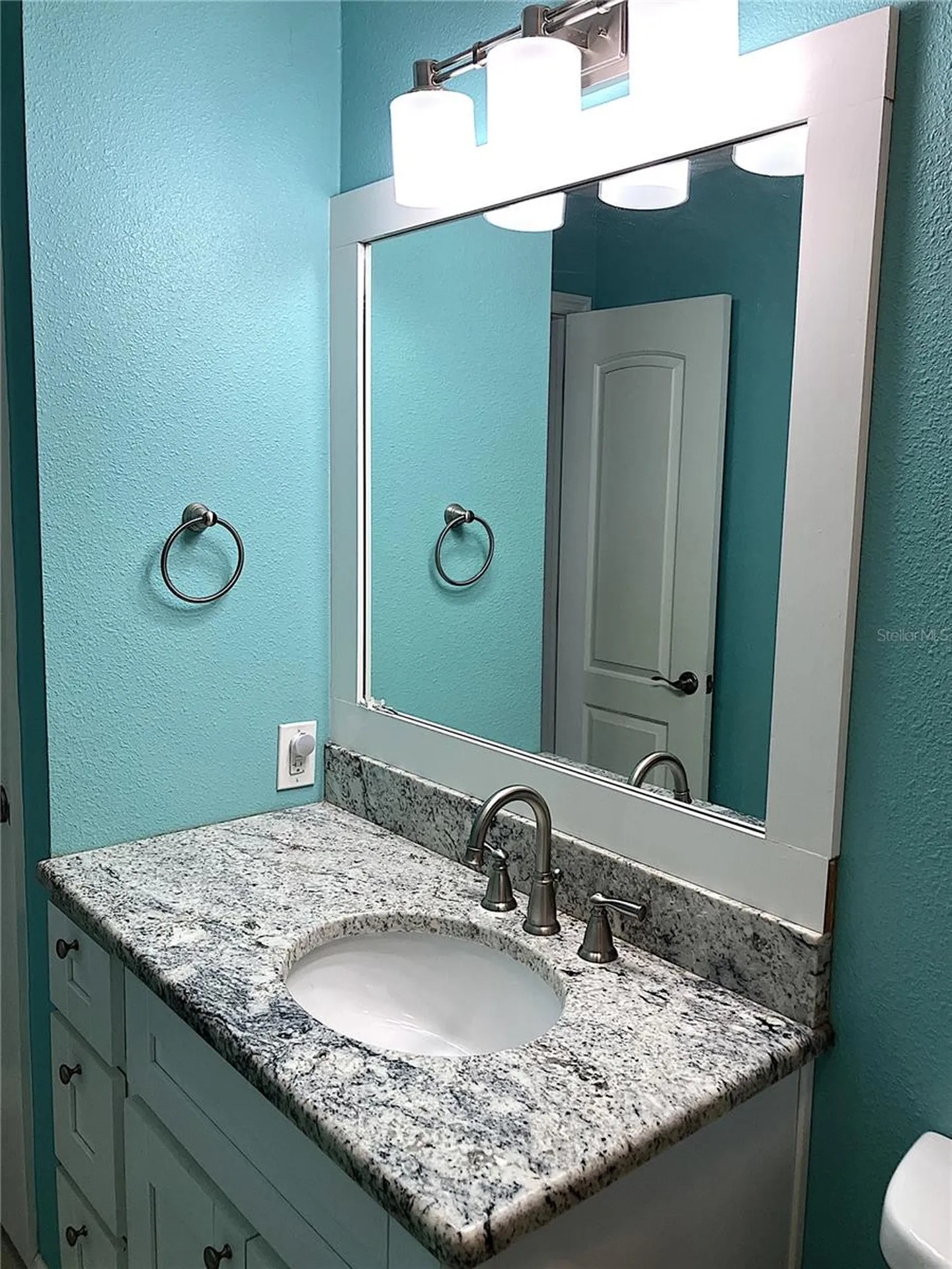 2009 Branch Tree Lane Brandon FL 33511