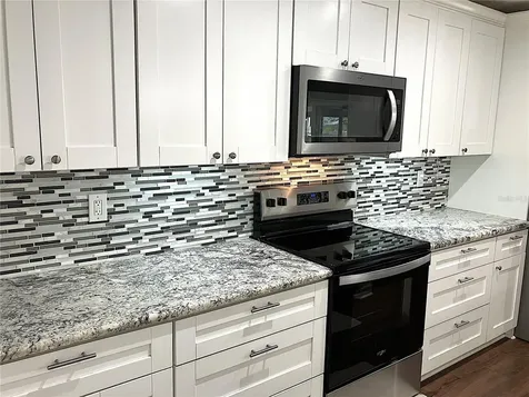 2009 Branch Tree Lane Brandon FL 33511