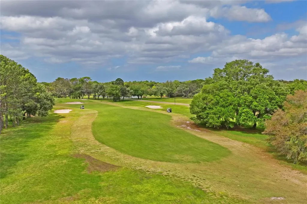 14466 Tamarind Loop Spring Hill FL 34609