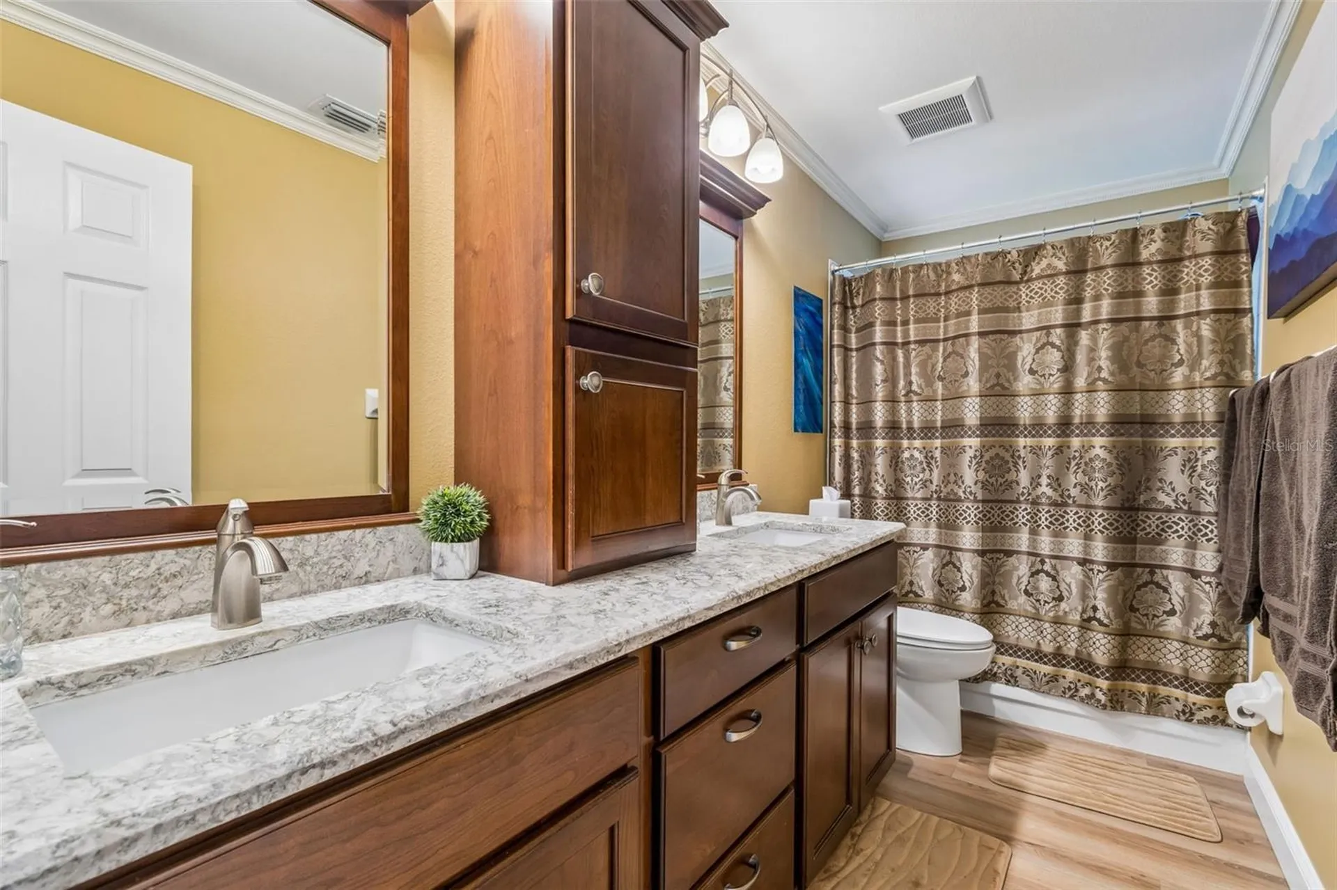 11029 Streamside Drive Tampa FL 33624