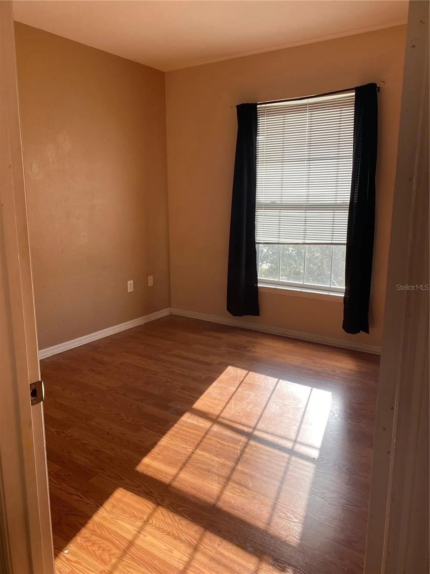2406 Courtney Meadows Court Tampa FL 33619