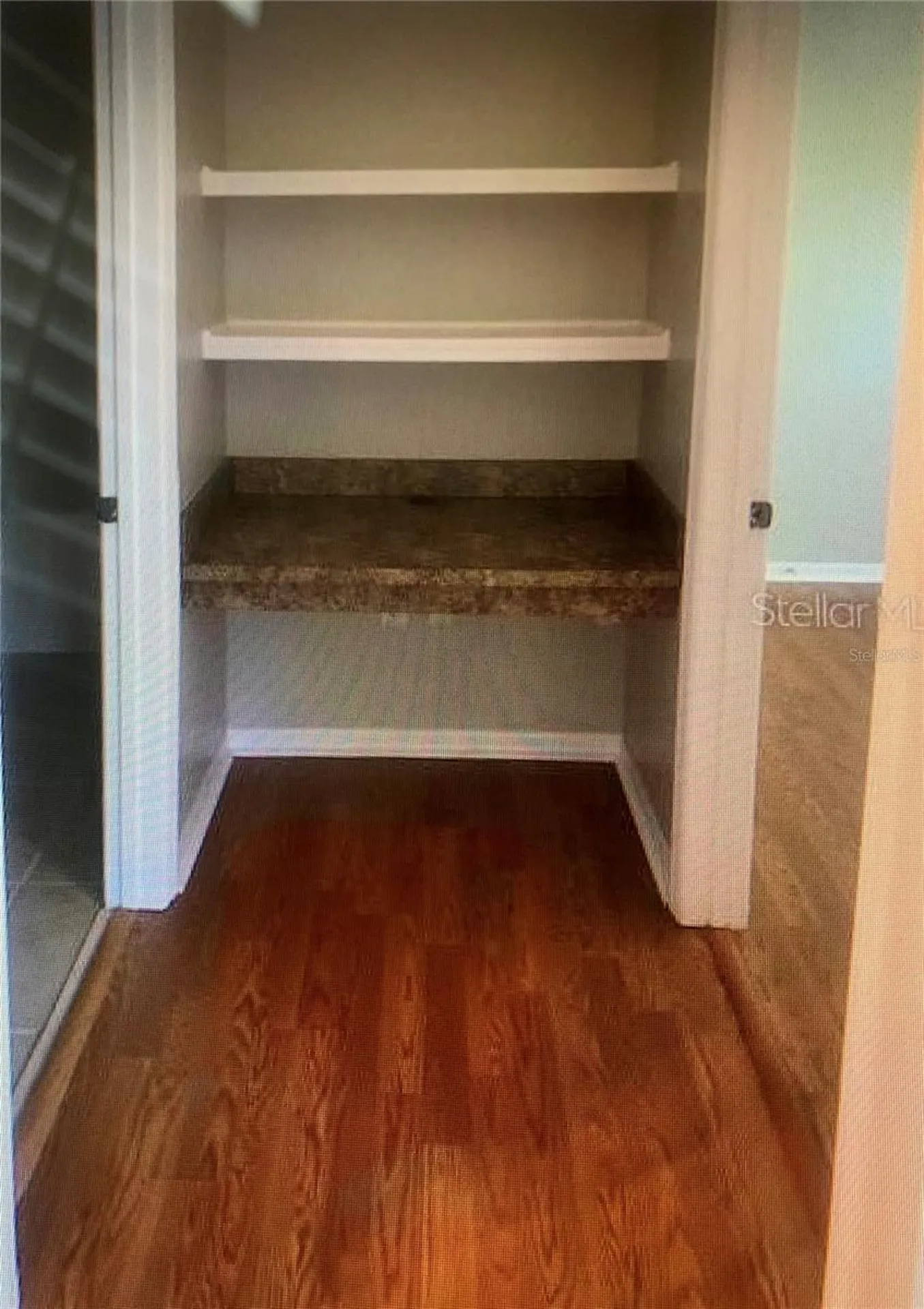 2406 Courtney Meadows Court Tampa FL 33619