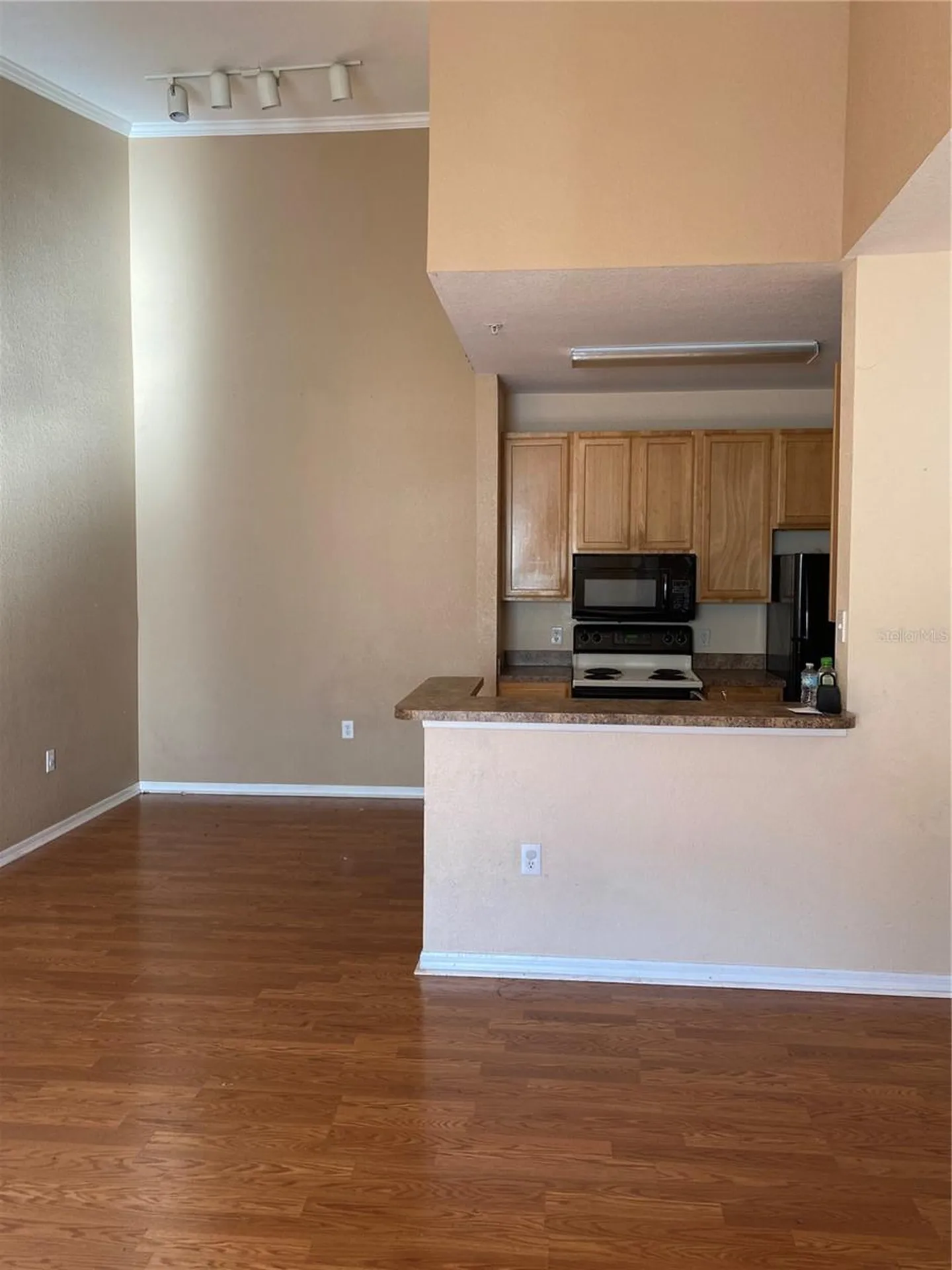 2406 Courtney Meadows Court Tampa FL 33619