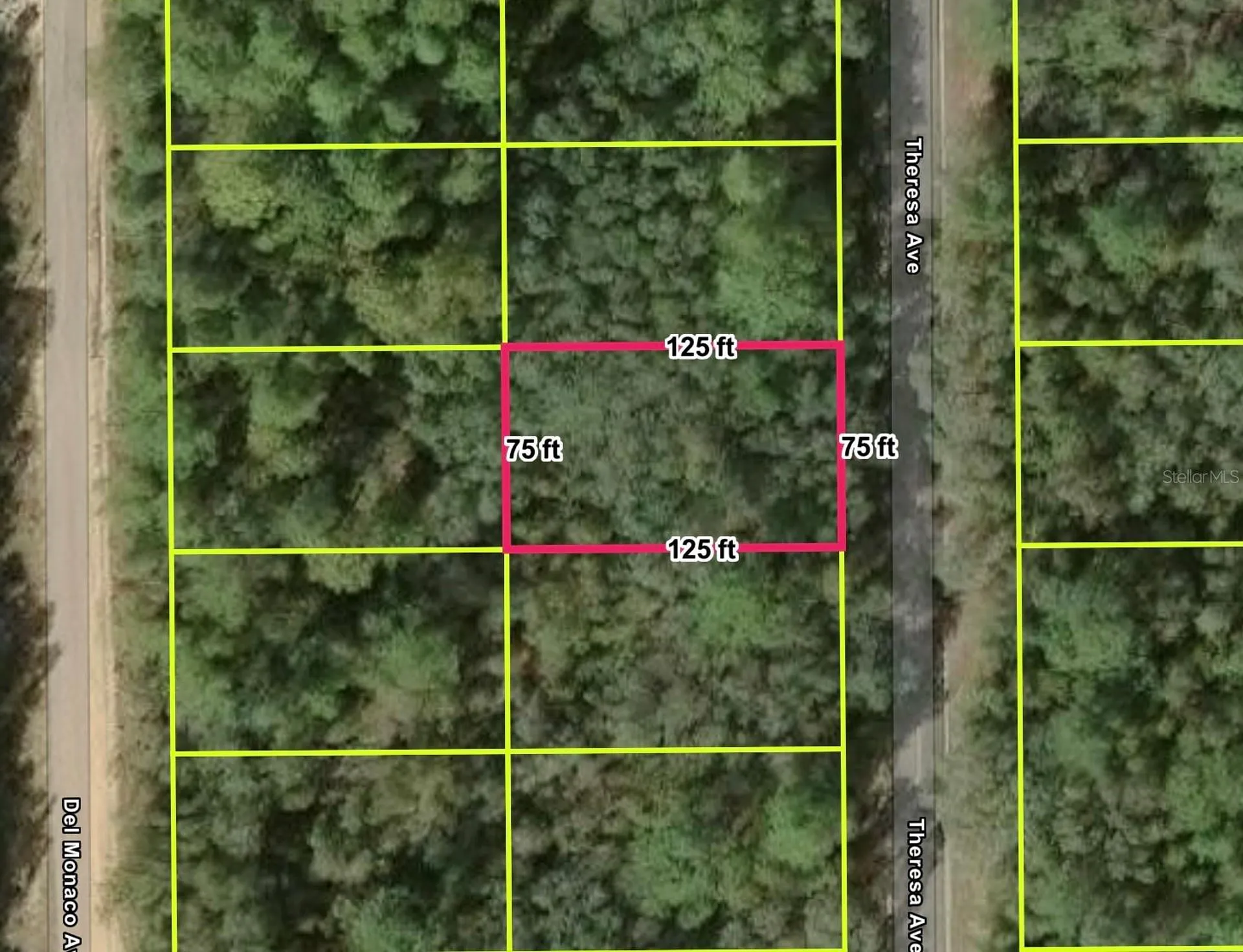 Interlachen FL 32148