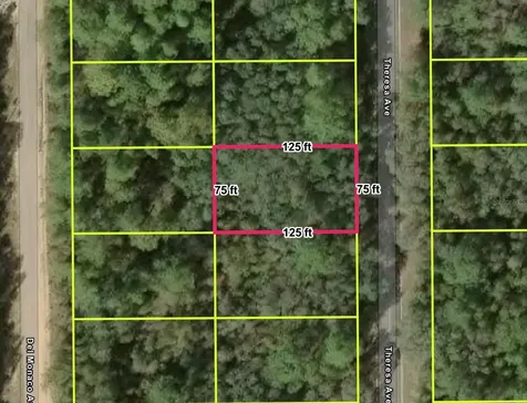 Interlachen FL 32148