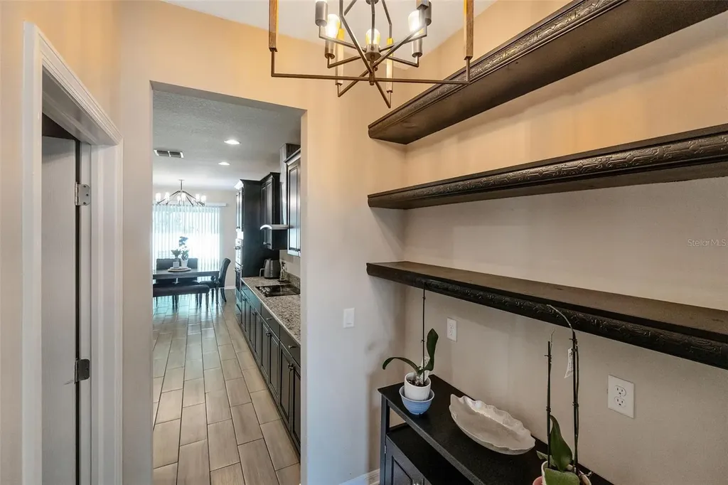 30068 Skylark Drive Wesley Chapel FL 33545