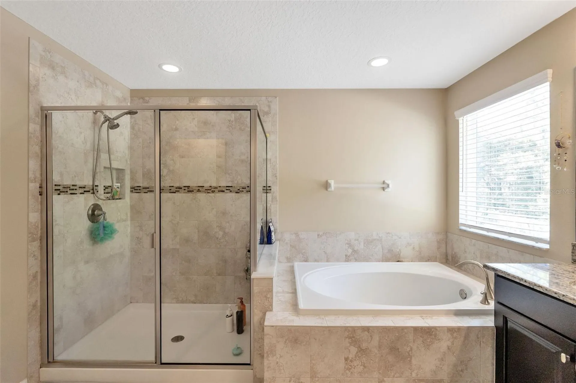 30068 Skylark Drive Wesley Chapel FL 33545