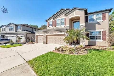 30068 Skylark Drive Wesley Chapel FL 33545