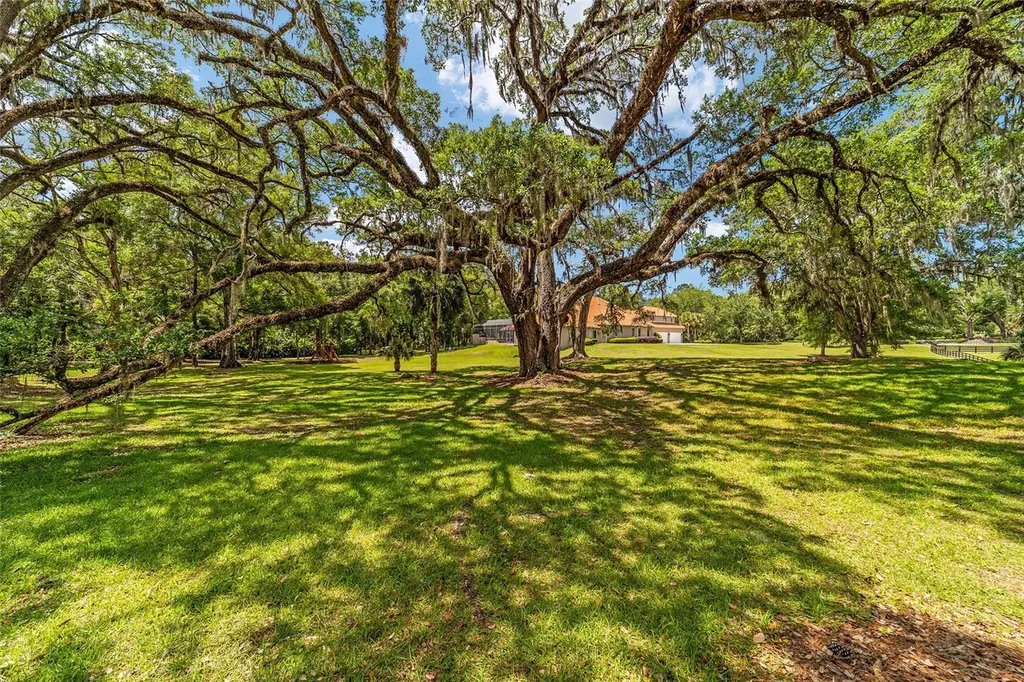 2380 SE 73rd Loop Ocala FL 34480