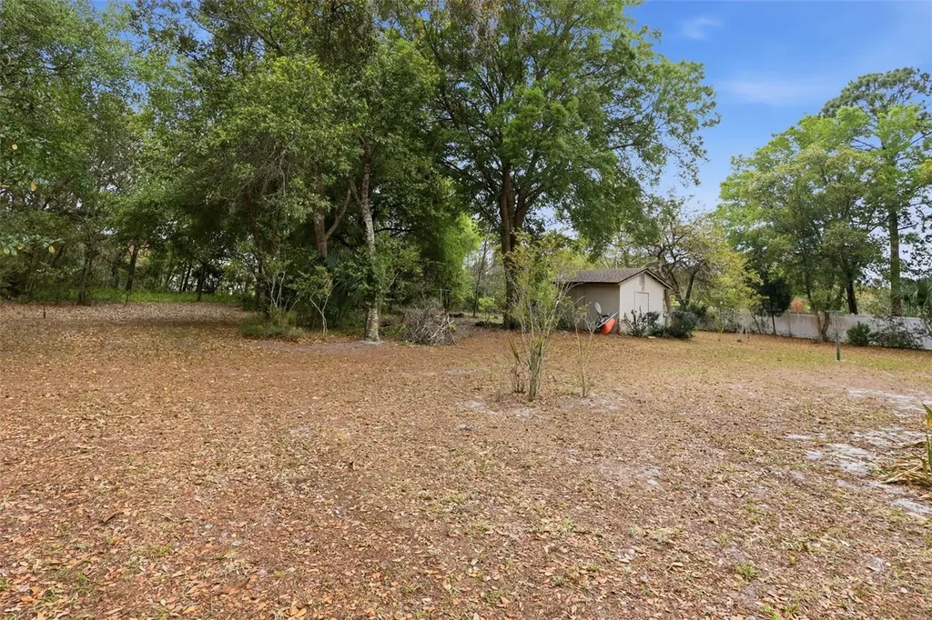 1028 Collins Avenue Orange City FL 32763
