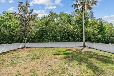 2634 Palesta Drive Trinity FL 34655