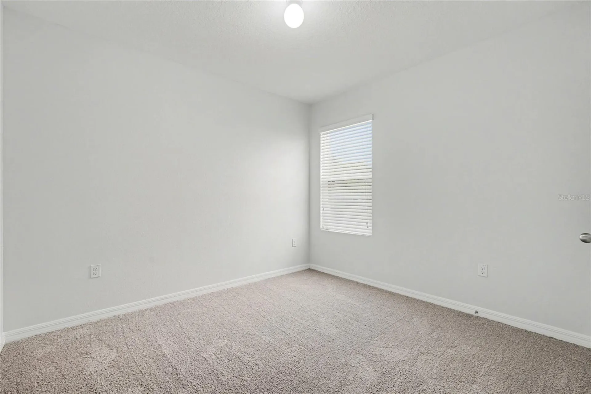 10125 Hawk Storm Avenue Tampa FL 33610