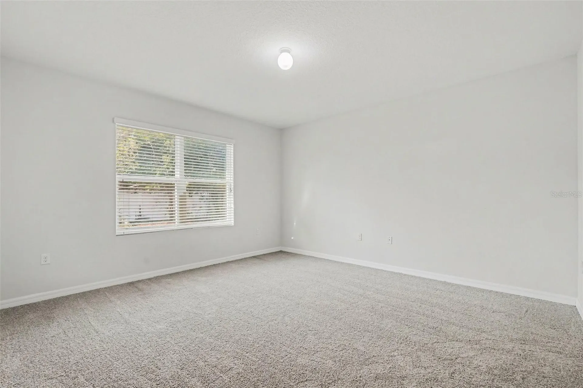 10125 Hawk Storm Avenue Tampa FL 33610