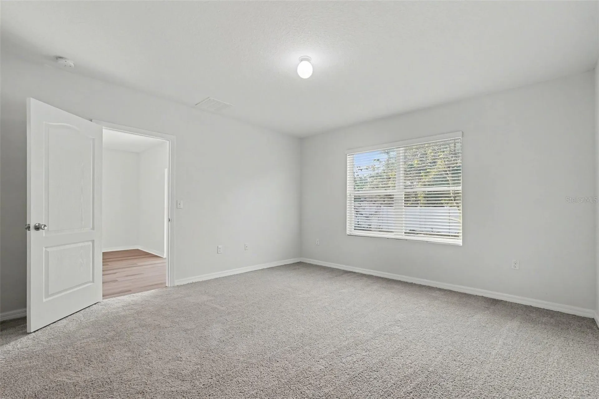 10125 Hawk Storm Avenue Tampa FL 33610