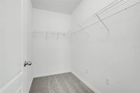 10125 Hawk Storm Avenue Tampa FL 33610