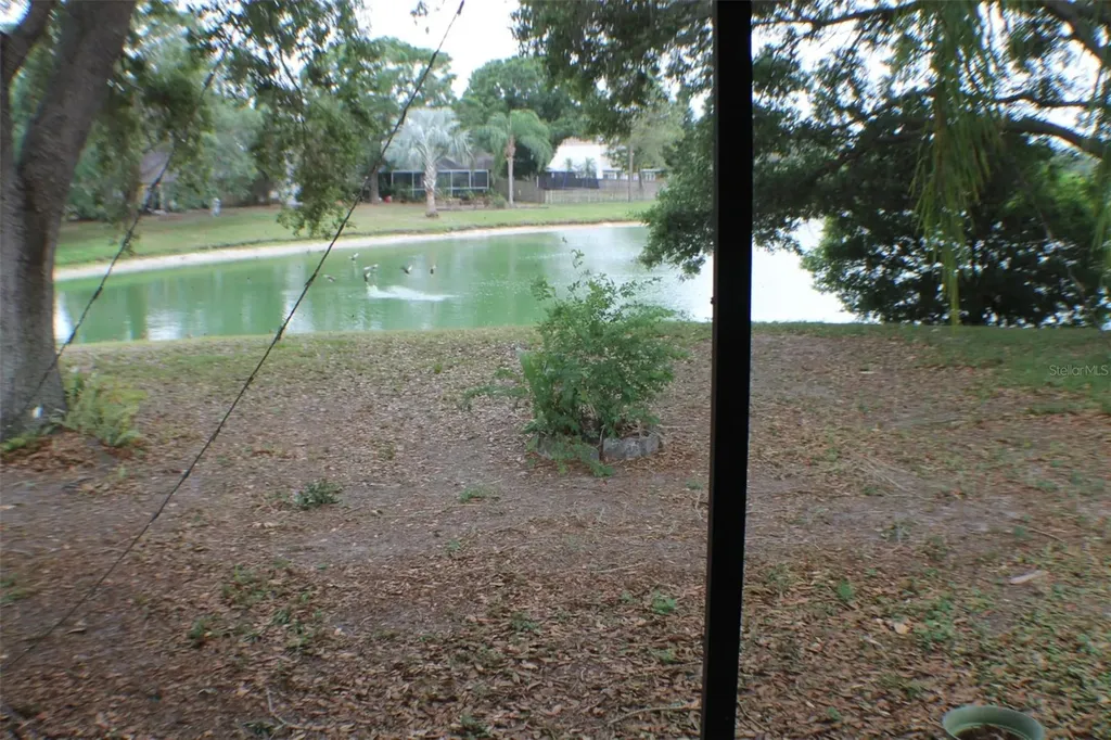 1723 Bell Ranch Street Brandon FL 33511