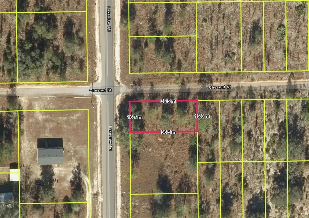 Interlachen FL 32148