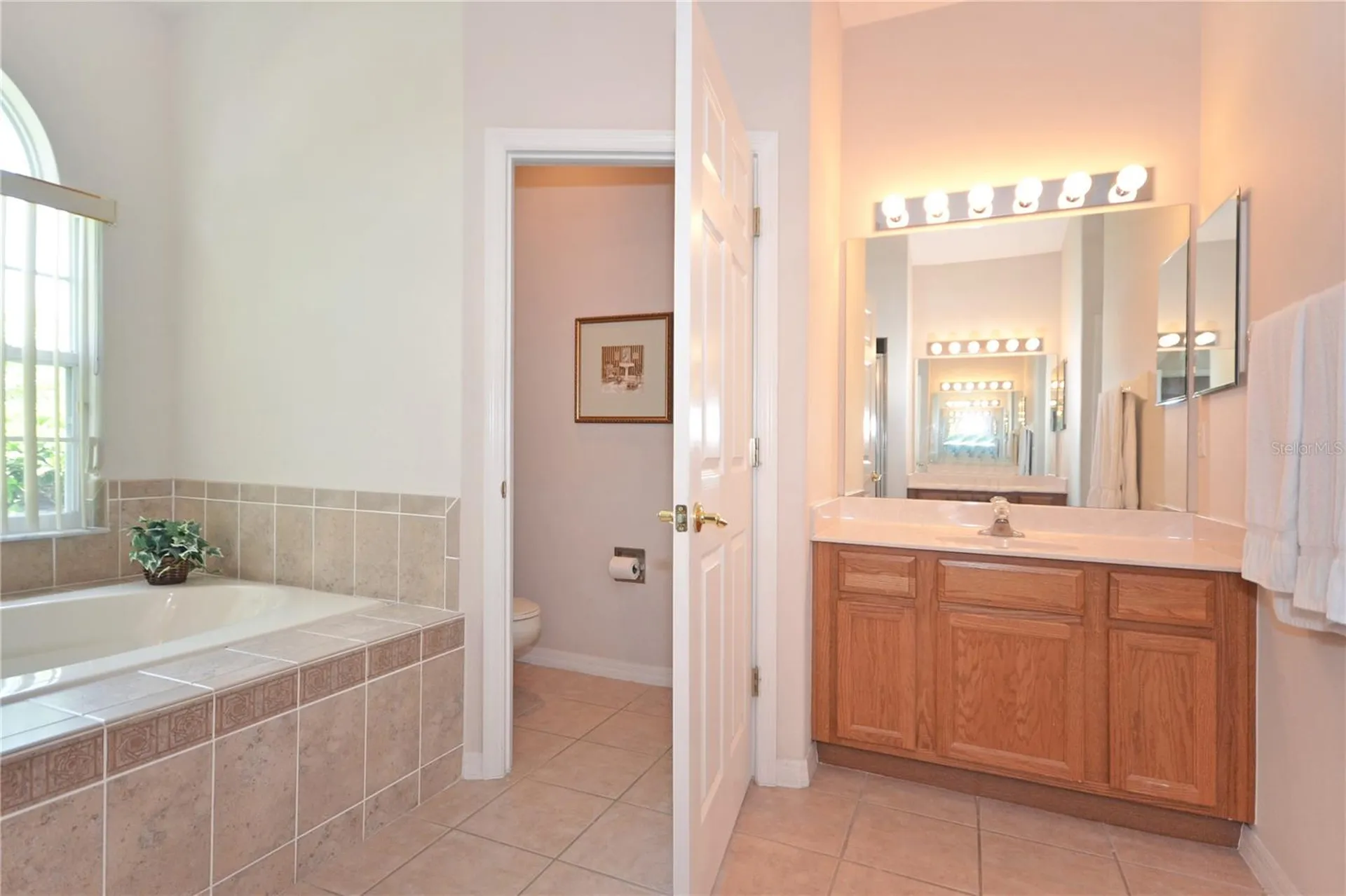 423 Corvina Drive Davenport FL 33897