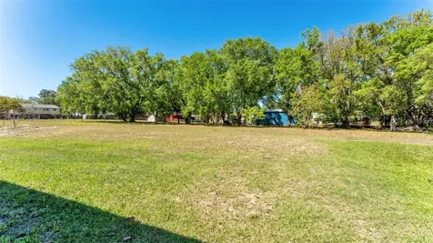 501 Interlock Street Lake Alfred FL 33850