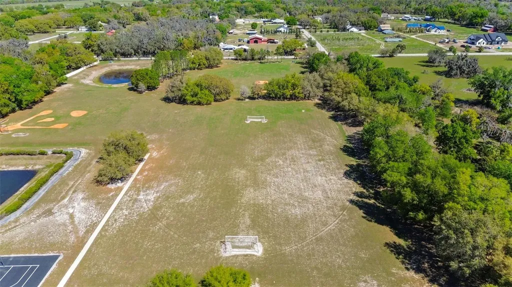 6107 Kingbird Manor Drive Lithia FL 33547