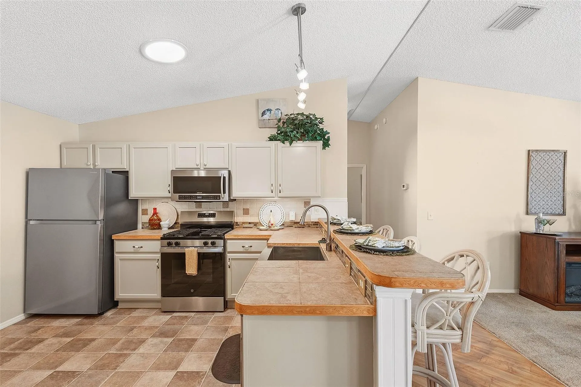 880 Allagash Avenue The Villages FL 32162