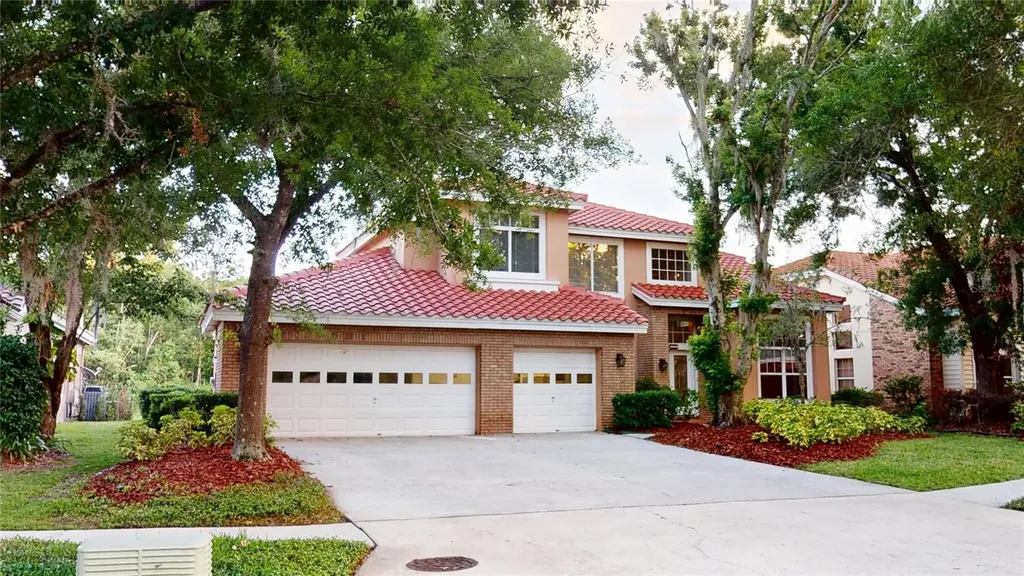 17833 Green Willow Drive Tampa FL 33647