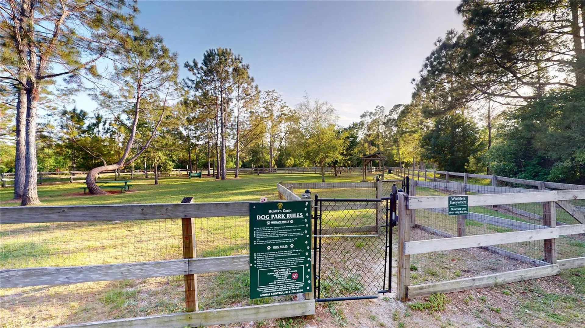 17833 Green Willow Drive Tampa FL 33647