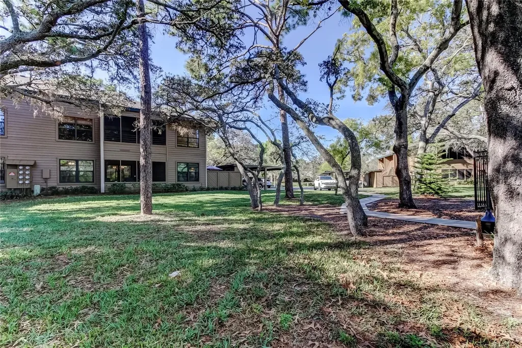 1407 Lennox Road E Palm Harbor FL 34683