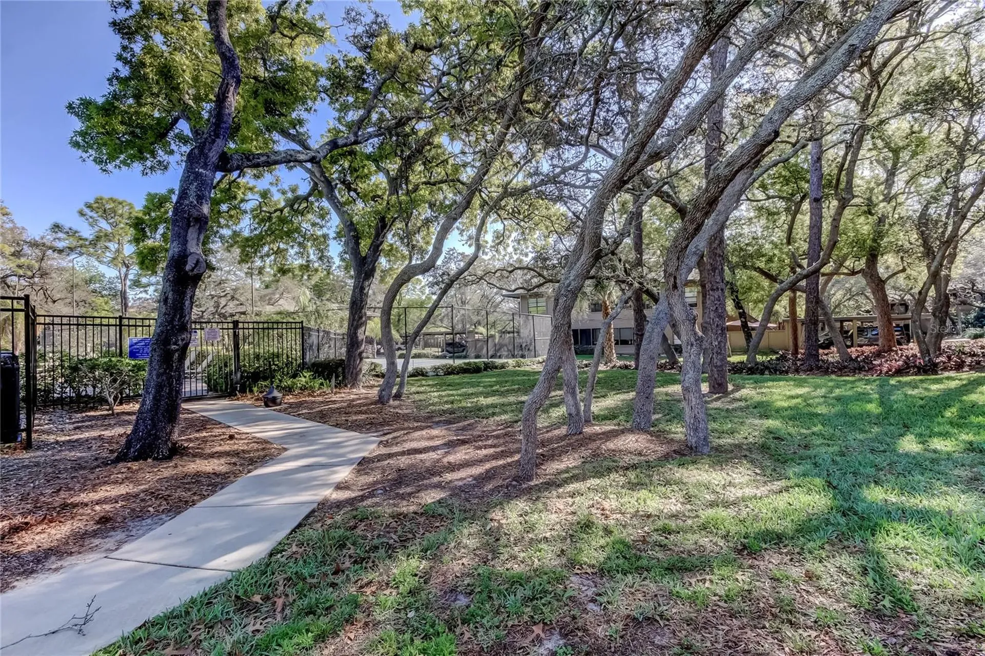 1407 Lennox Road E Palm Harbor FL 34683
