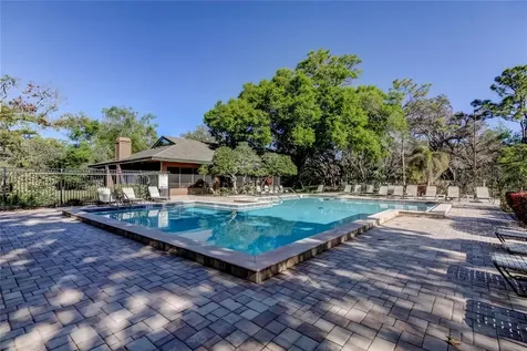 1407 Lennox Road E Palm Harbor FL 34683