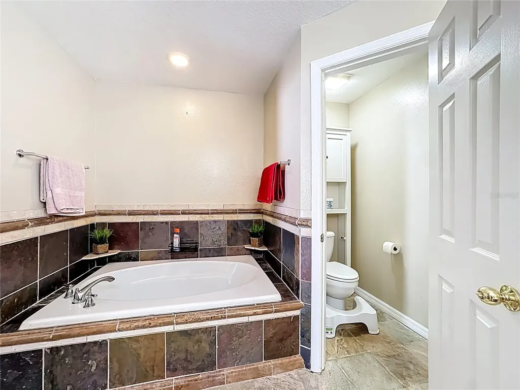 1212 Demoiselle Street Groveland FL 34736
