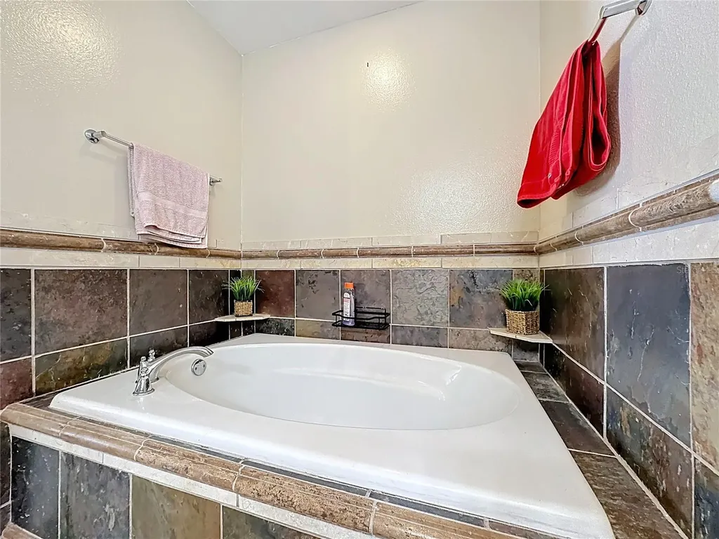 1212 Demoiselle Street Groveland FL 34736
