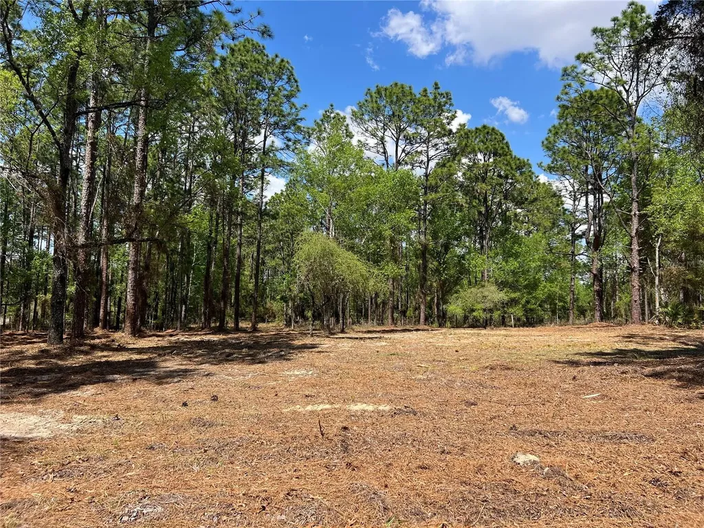 24 SE 130 Court Dunnellon FL 34431