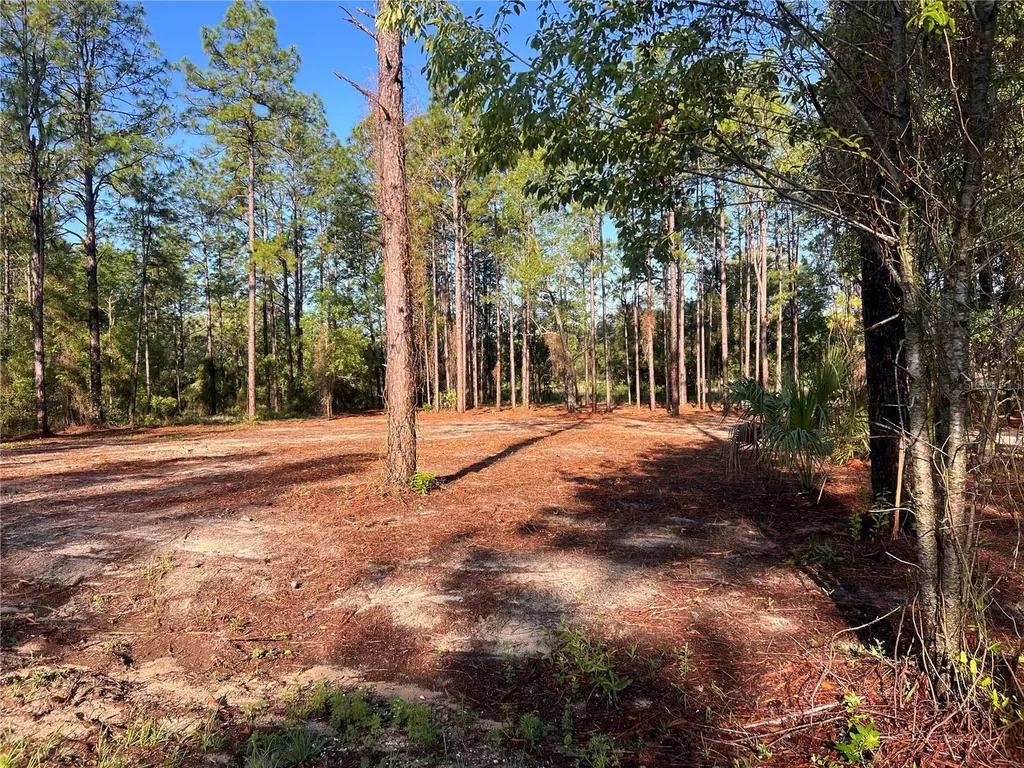 24 SE 130 Court Dunnellon FL 34431