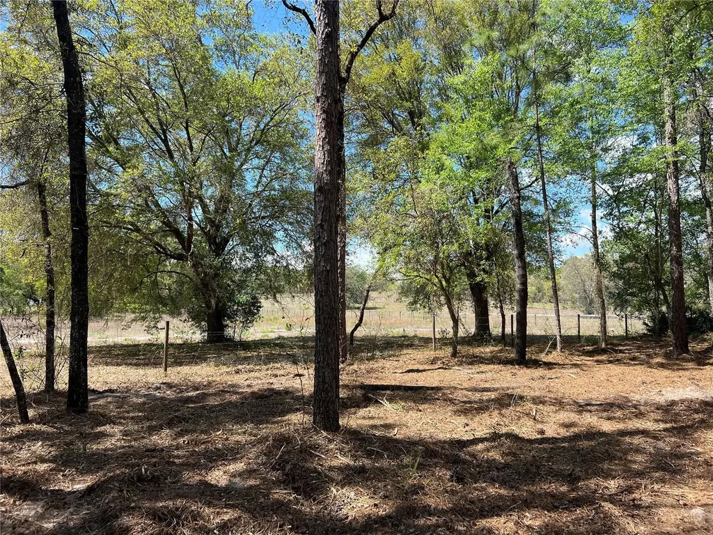 24 SE 130 Court Dunnellon FL 34431