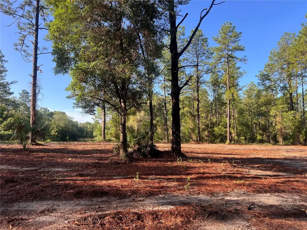24 SE 130 Court Dunnellon FL 34431