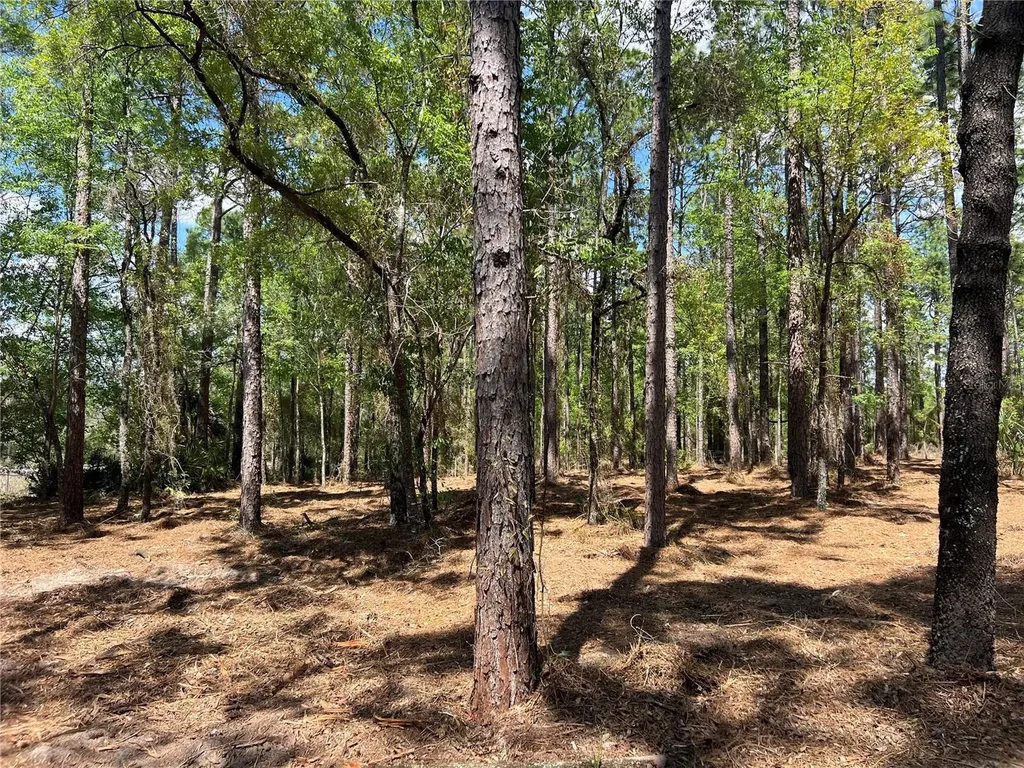 24 SE 130 Court Dunnellon FL 34431