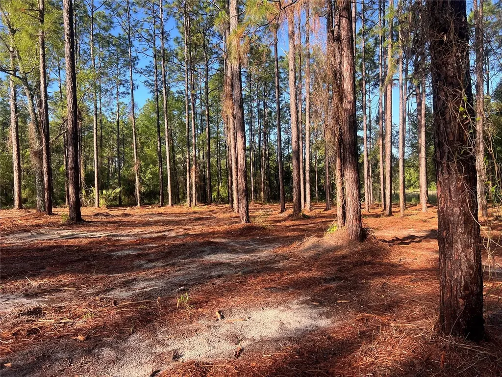 24 SE 130 Court Dunnellon FL 34431